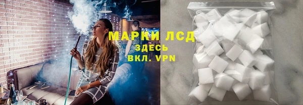 шишки Карпинск
