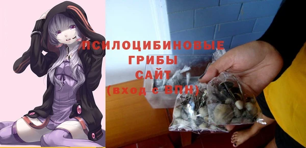 шишки Карпинск
