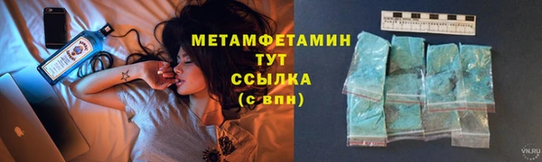 шишки Карпинск