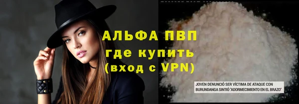 шишки Карпинск