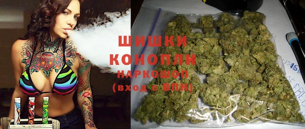 шишки Карпинск