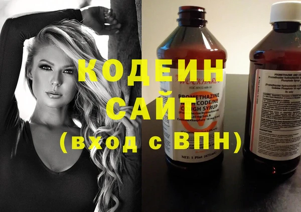 шишки Карпинск