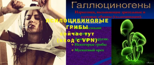 шишки Карпинск