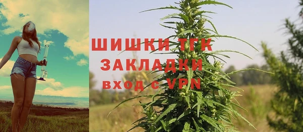 шишки Карпинск