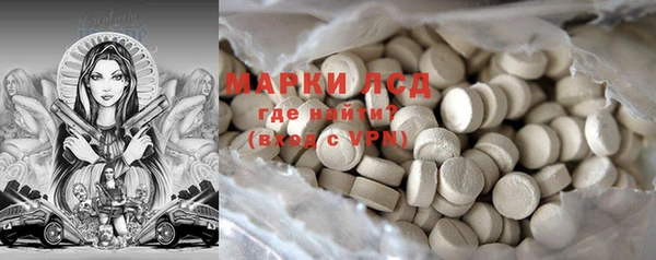 шишки Карпинск