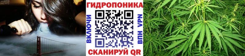 Купить закладки  Россошь  Каннабис индика 